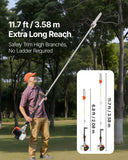 Chainsaws: VEVOR Gas Pole Saw, 33CC 2 Stroke Gas Powered Pole Saws with 20.3 cm Cutting Bar, Cordless Tree Trimmer with 850ml Fuel Tank, 2.08 to 3.58 m  Extendable, Powerful Chainsaw for Tree Trimming Pruning