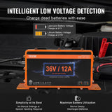Automotive Repair & Speciality Tools: VEVOR 12 AMP Golf Cart Smart Battery Charger for EZGO D-Style IP67 ETL