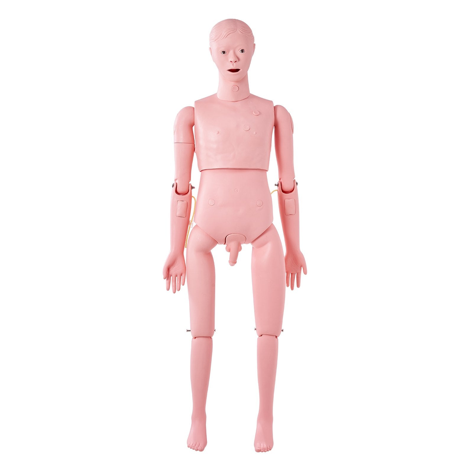 Nursing Training Manikin, Male Life Size Demonstration Human Manikin for Nursing Training, Multifunctional Education Teaching Model Supplies, PVC Anatomical Mannequin Body Care Simulator Model