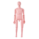 Men's Thongs & Sandals: VEVOR Nursing Training Manikin, Male Life Size Demonstration Human Manikin for Nursing Training, Multifunctional Education Teaching Model Supplies, PVC Anatomical Mannequin Body Care Simulator Model