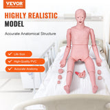 Men's Thongs & Sandals: VEVOR Nursing Training Manikin, Male Life Size Demonstration Human Manikin for Nursing Training, Multifunctional Education Teaching Model Supplies, PVC Anatomical Mannequin Body Care Simulator Model
