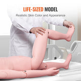 Men's Thongs & Sandals: VEVOR Nursing Training Manikin, Male Life Size Demonstration Human Manikin for Nursing Training, Multifunctional Education Teaching Model Supplies, PVC Anatomical Mannequin Body Care Simulator Model