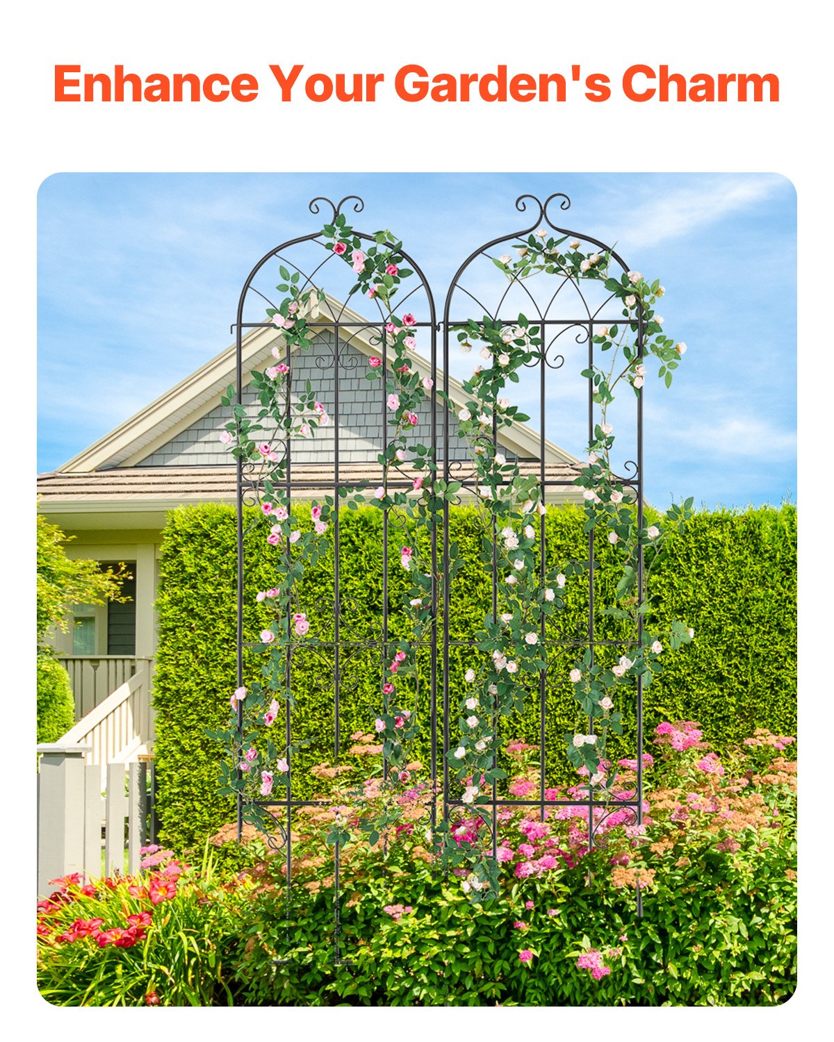 Gardening Tools: VEVOR 2 Packs Metal Garden Trellis for Climbing Plant Support 87x20 in Rustproof