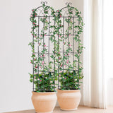 Gardening Tools: VEVOR 2 Packs Metal Garden Trellis for Climbing Plant Support 87x20 in Rustproof