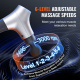 Massagers: VEVOR Massage Gun Deep Tissue, Percussion Muscle Massager for Athletes - with 6 Speed Levels & 4 Massage Heads, 12V 2500mAh Batteries, Handheld Electric Massage Gun for Pain Relief, Muscle Relaxation