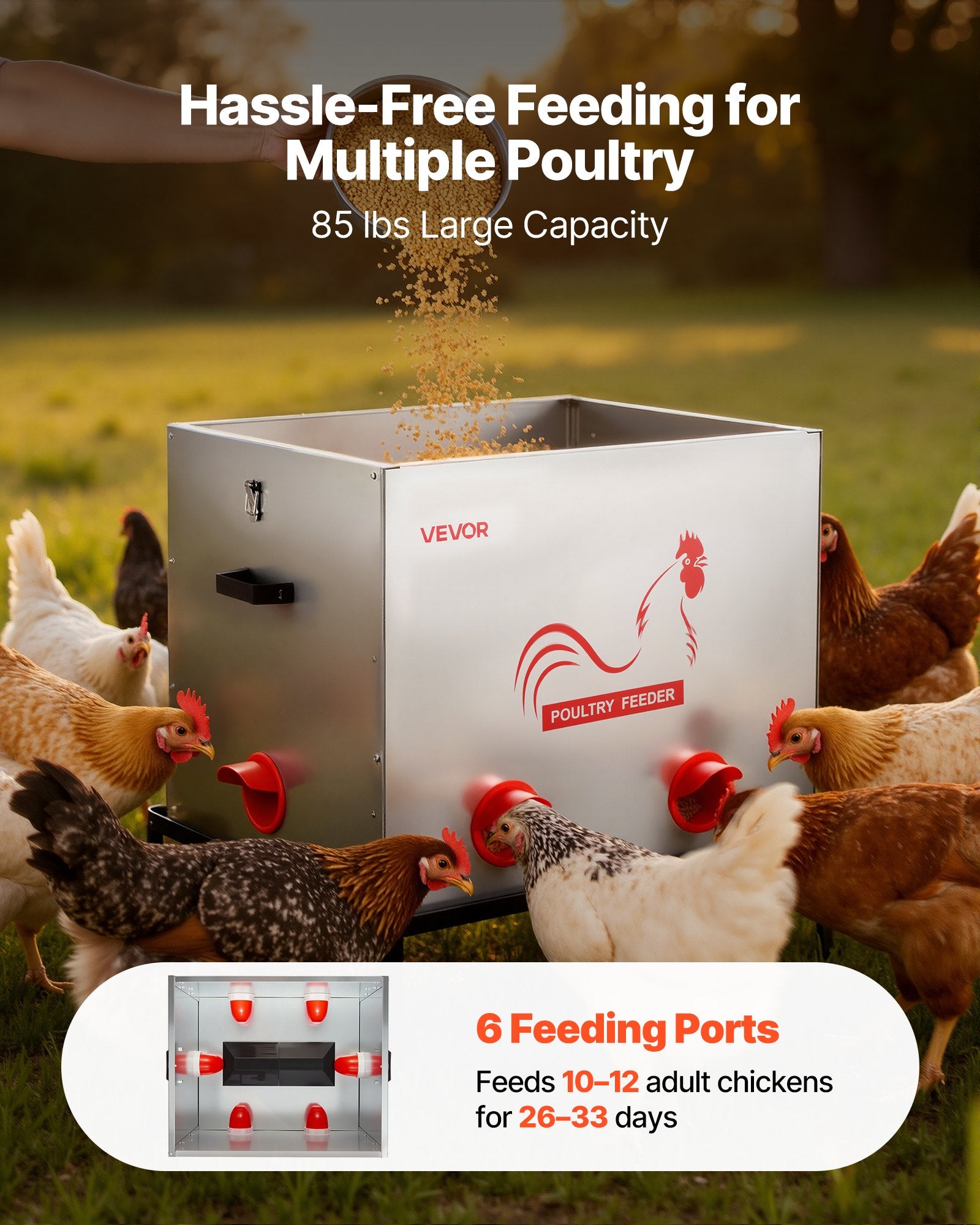 Cat Bowls, Feeders & Waterers: VEVOR Automatic Chicken Feeder, 38.56 kg Capacity, 6 Feeding Ports No-Waste Poultry Feeder with Built-In Divider, with Latch & Handle, Metal Construction, for Chickens Bantams Pheasants Poultry Coop