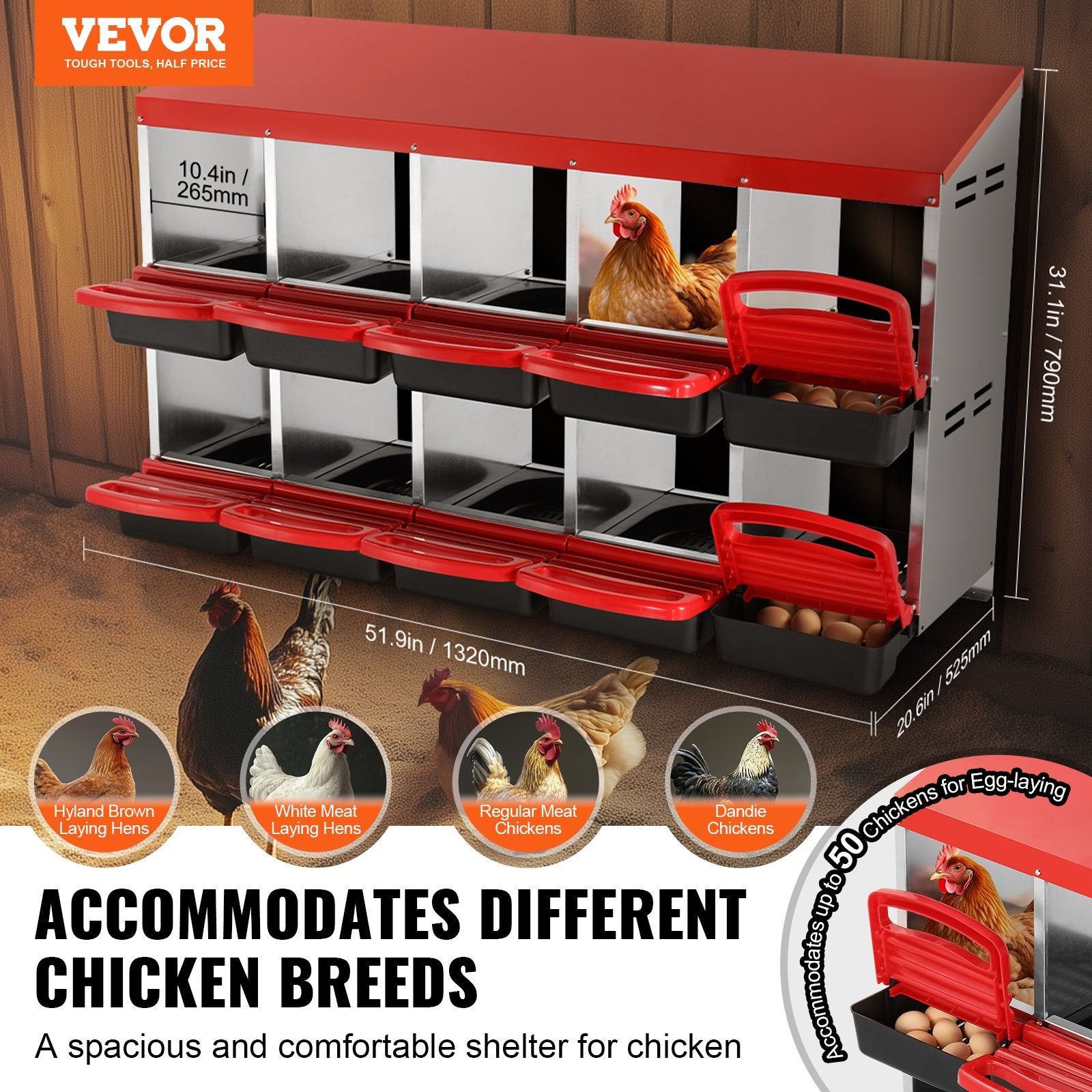 Basketball & Basketball Accessories: VEVOR 10-Compartment Chicken Nest Box Mental Box with Inclined Nesting Boxes
