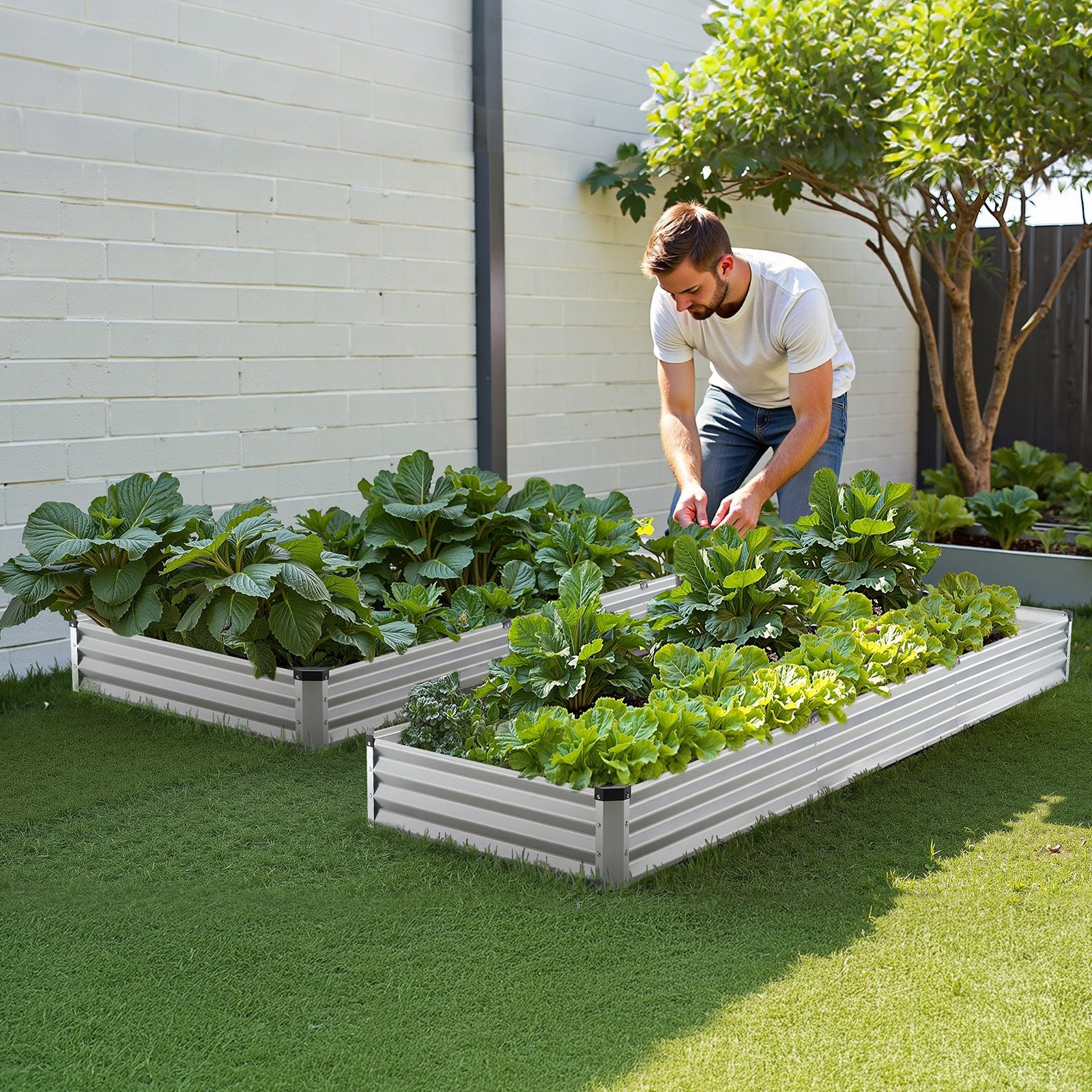Garden Ornaments: VEVOR Metal Raised Garden Bed, 12 x 4 x 1 ft Outdoor Galvanized Planter Box, with Open Bottom, Large Planter Raised Bed for Gardening Vegetables, Flowers, Herbs, and Succulent Plants, Silver