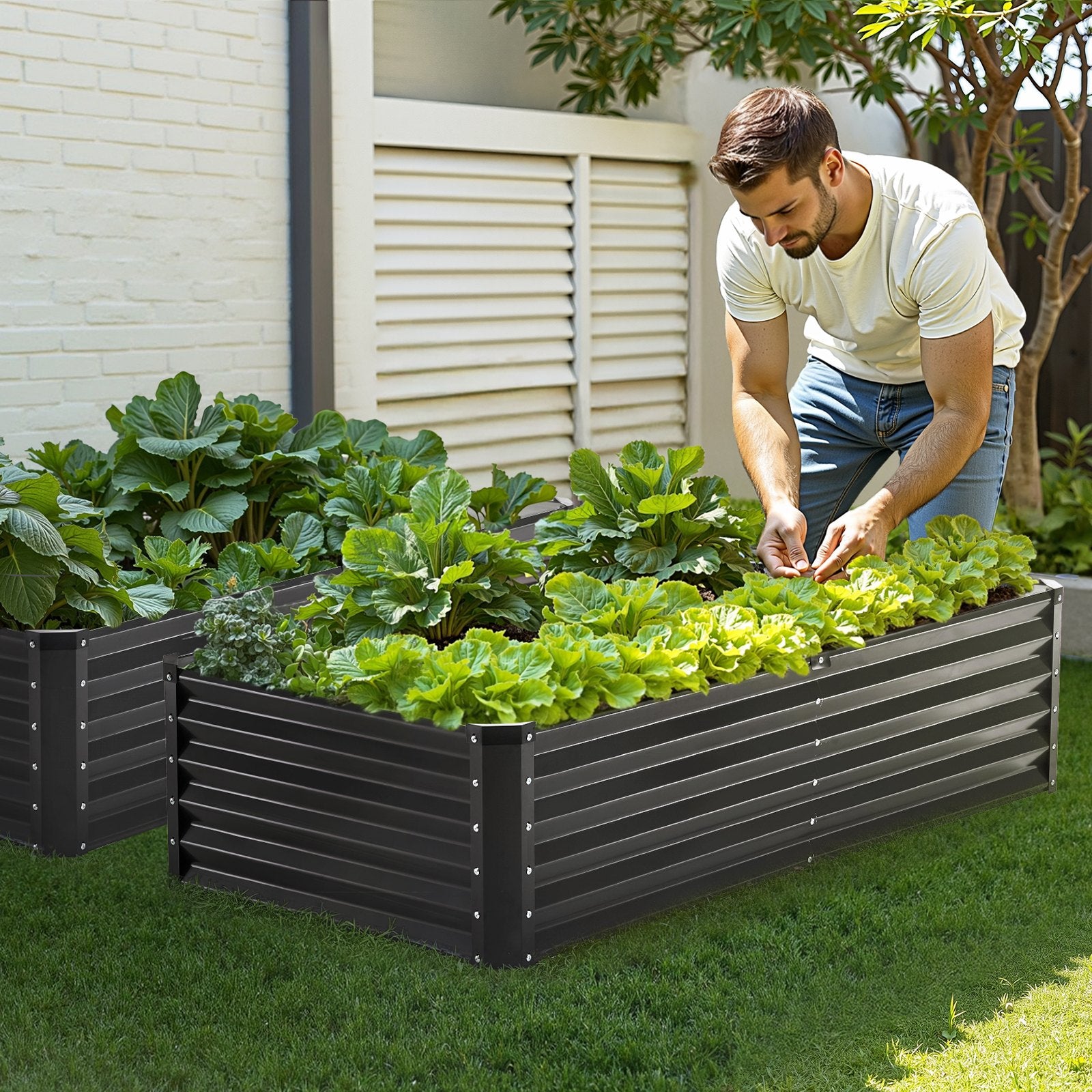 Metal Raised Garden Bed, 6 x 3 x 1.5 ft Outdoor Galvanized Planter Box, with Open Bottom, Large Planter Raised Bed for Gardening Vegetables, Flowers, Herbs, and Succulent Plants, Dark Gray