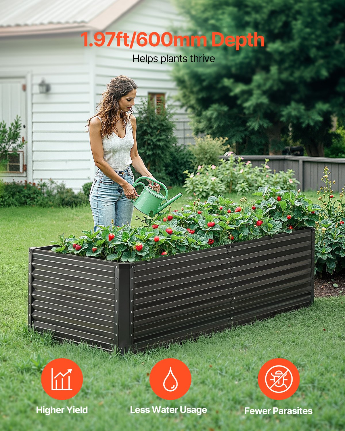 Garden Ornaments: VEVOR Metal Raised Garden Bed, 6 x 3 x 2 ft Outdoor Galvanized Planter Box, with Open Bottom, Large Planter Raised Bed for Gardening Vegetables, Flowers, Herbs, and Succulent Plants, Dark Gray
