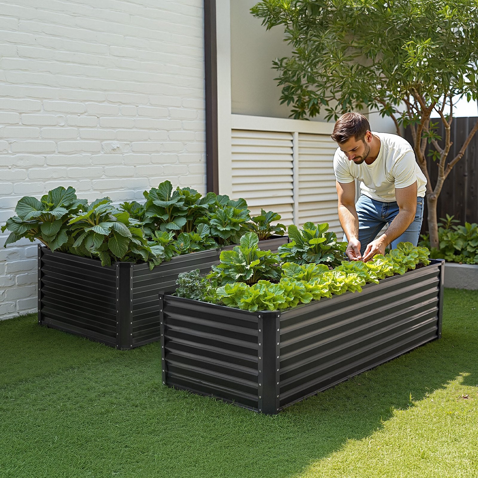 Garden Ornaments: VEVOR Metal Raised Garden Bed, 6 x 3 x 2 ft Outdoor Galvanized Planter Box, with Open Bottom, Large Planter Raised Bed for Gardening Vegetables, Flowers, Herbs, and Succulent Plants, Dark Gray