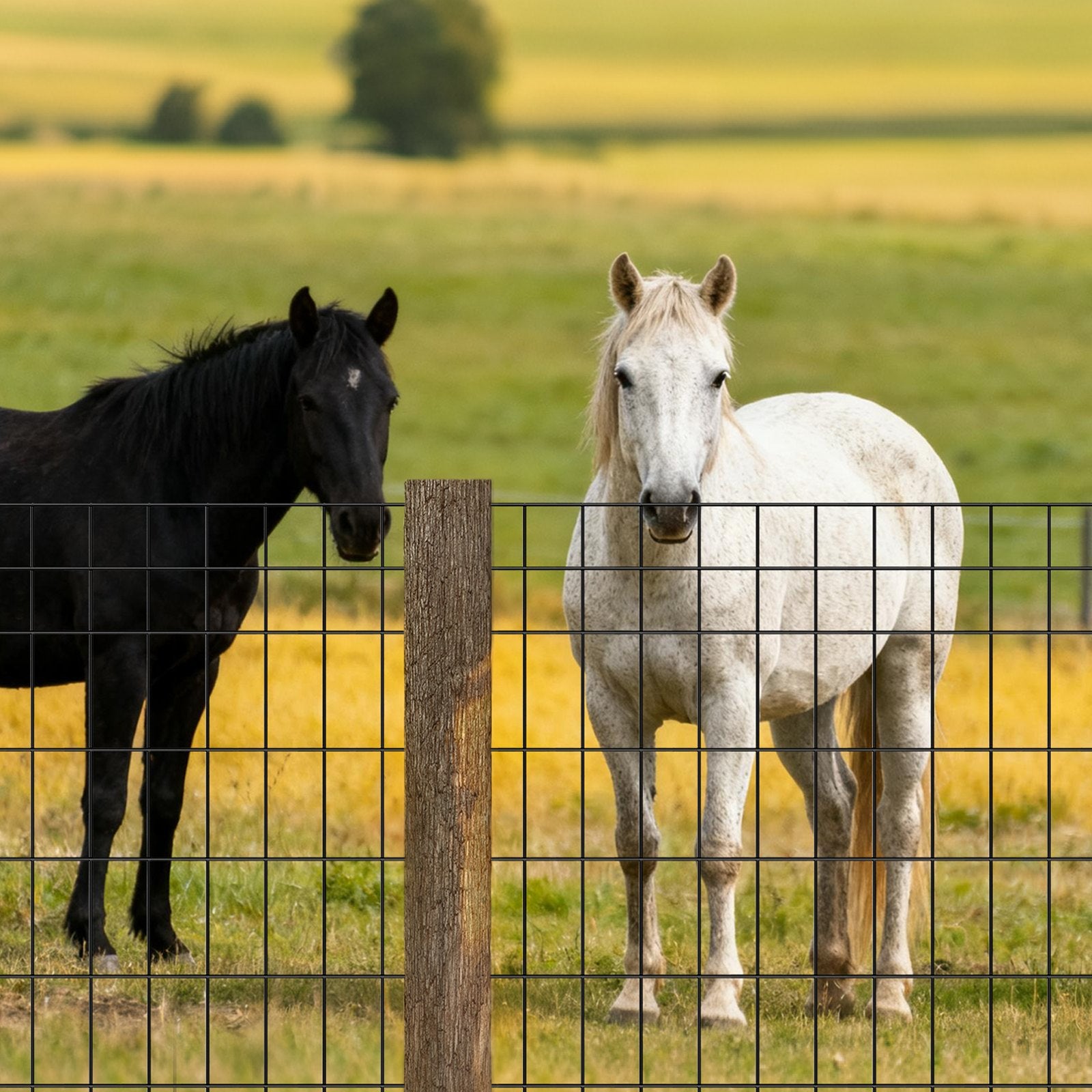 Vases & Table Decor: VEVOR Farm Fence,  122cm x 15.2m, 2 x 4 in Mesh 14 Gauge Galvanized Steel Wire Fencing for Cattle, Hog & Sheep , Heavy Duty Vinyl Coated Livestock Fence for Animal Enclosures, Cage Wire, Garden Fences