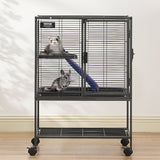 Bird Cages & Stands: VEVOR 34" Metal Small Animal Cage 2-Tier Rolling Ferret Cage with Tray A Ramp