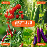 Gardening Tools: VEVOR 4 Packs Tomato Cages for Garden 1620 mm Tomato Plant Stakes Support Cage