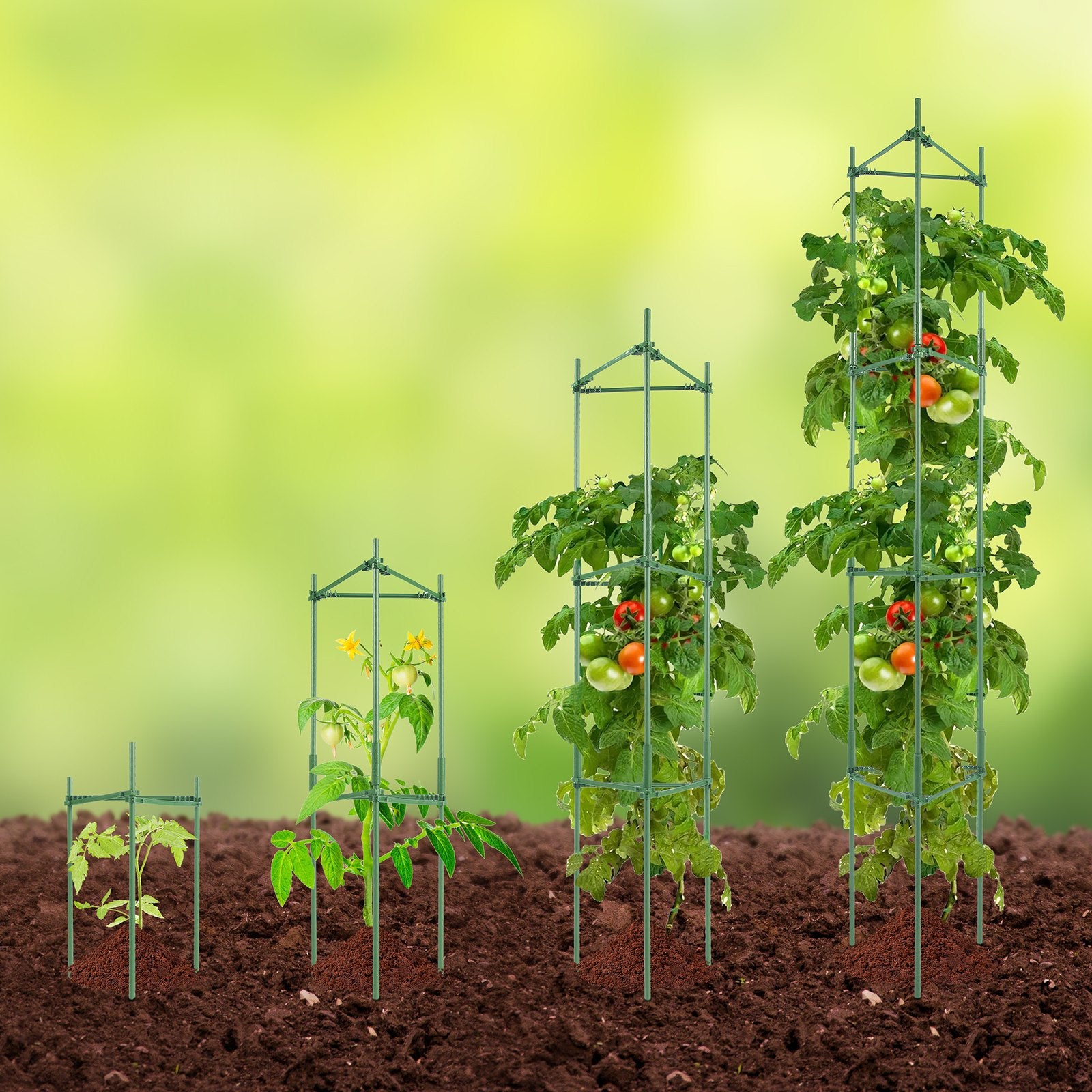 Gardening Tools: VEVOR 4 Packs Tomato Cages for Garden 1620 mm Tomato Plant Stakes Support Cage