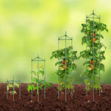 Gardening Tools: VEVOR 4 Packs Tomato Cages for Garden 1620 mm Tomato Plant Stakes Support Cage