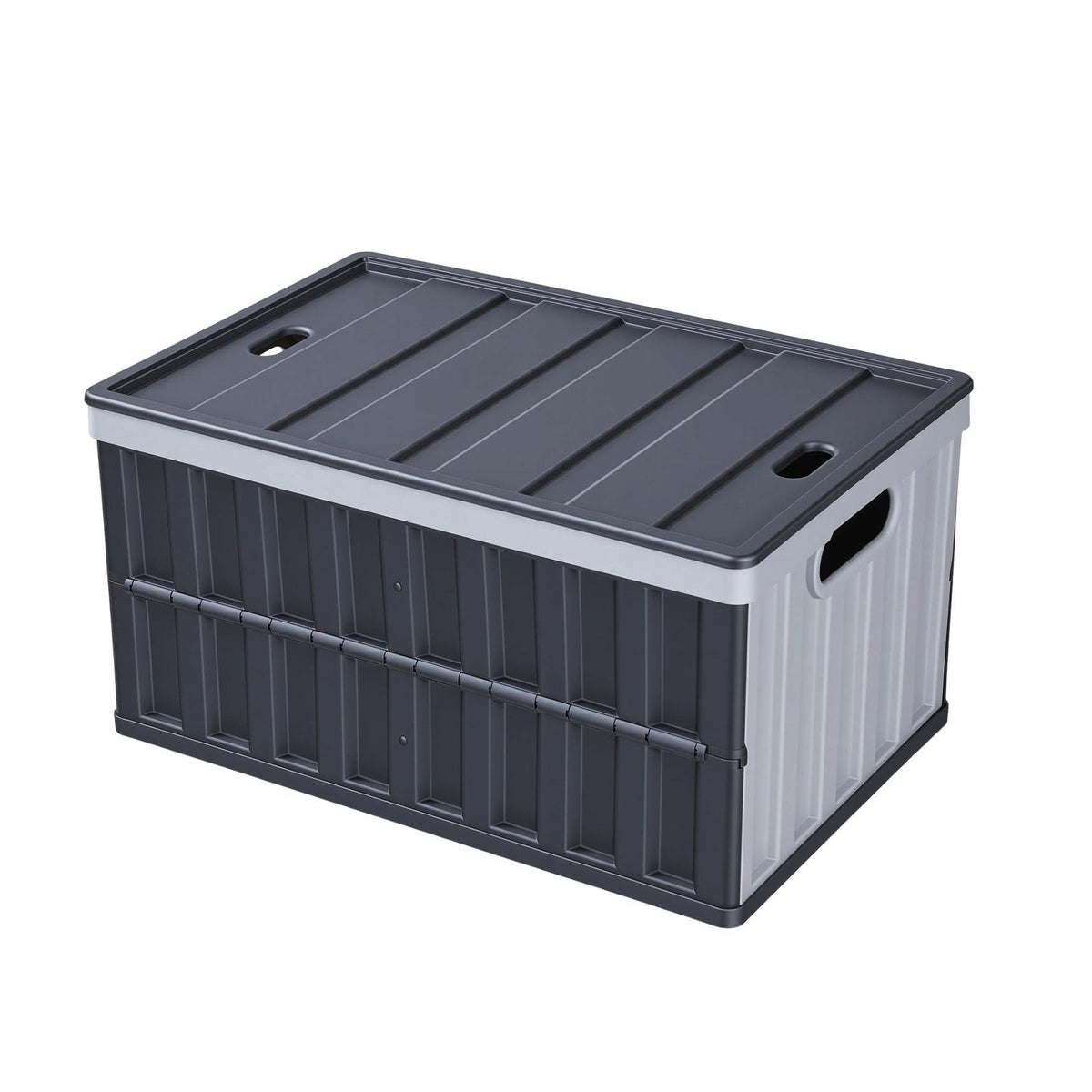 Plastic Collapsible Storage Bins with Lids, 65L 2 Packs, Stackable Folding Storage Crates with Handles, Holds 38 kg Per Bin, Heavy Duty Containers, Space-Saving Baskets, for Home Organizing