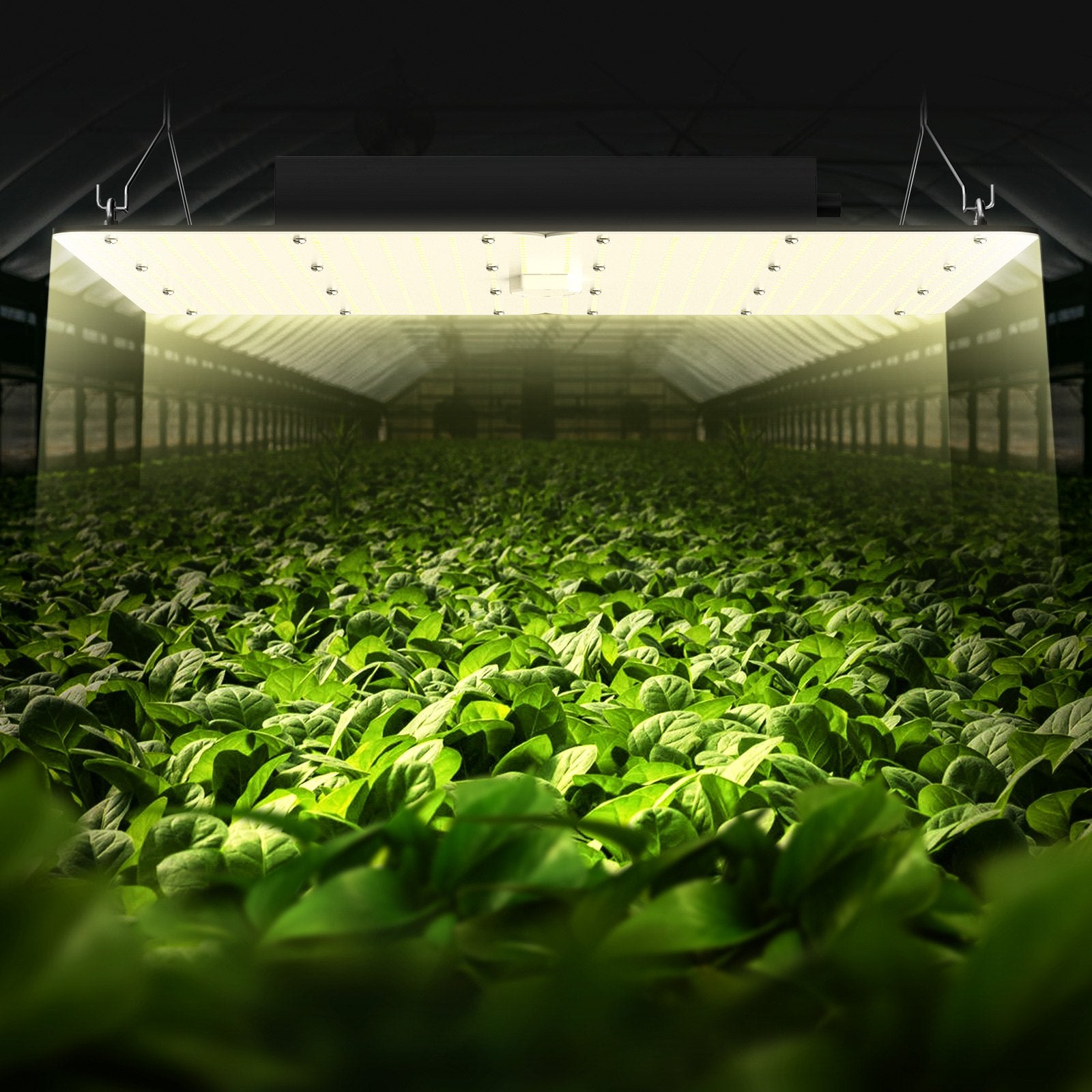 Greenhouses & Accessories: VEVOR LED Grow Light, 400W Full Spectrum Dimmable, High Yield Samsung 2B1B Diodes Growing Lamp for Indoor Plants Seedling Veg and Bloom Greenhouse Growing, Daisy Chain Driver for 4x4/5x5 ft Grow Tent