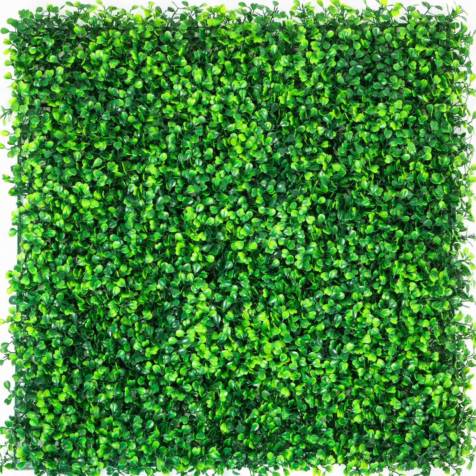 Artificial Boxwood Panels, 20 PCS 20""x20"" Boxwood Hedge Wall Panels, PE Artificial Grass Backdrop Wall 1.6"", Privacy Hedge Screen for Decoration of Outdoor, Indoor, Garden, Fence, and Backyar