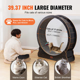 Cat Toys: VEVOR Wooden Cat Exercise Wheel, 43.3" Large Cat Treadmill Wheel for Indoor Cats, Cat Running Wheel with Detachable Carpet & Cat Teaser for Running/Walking/Training, Suitable for Most Cats