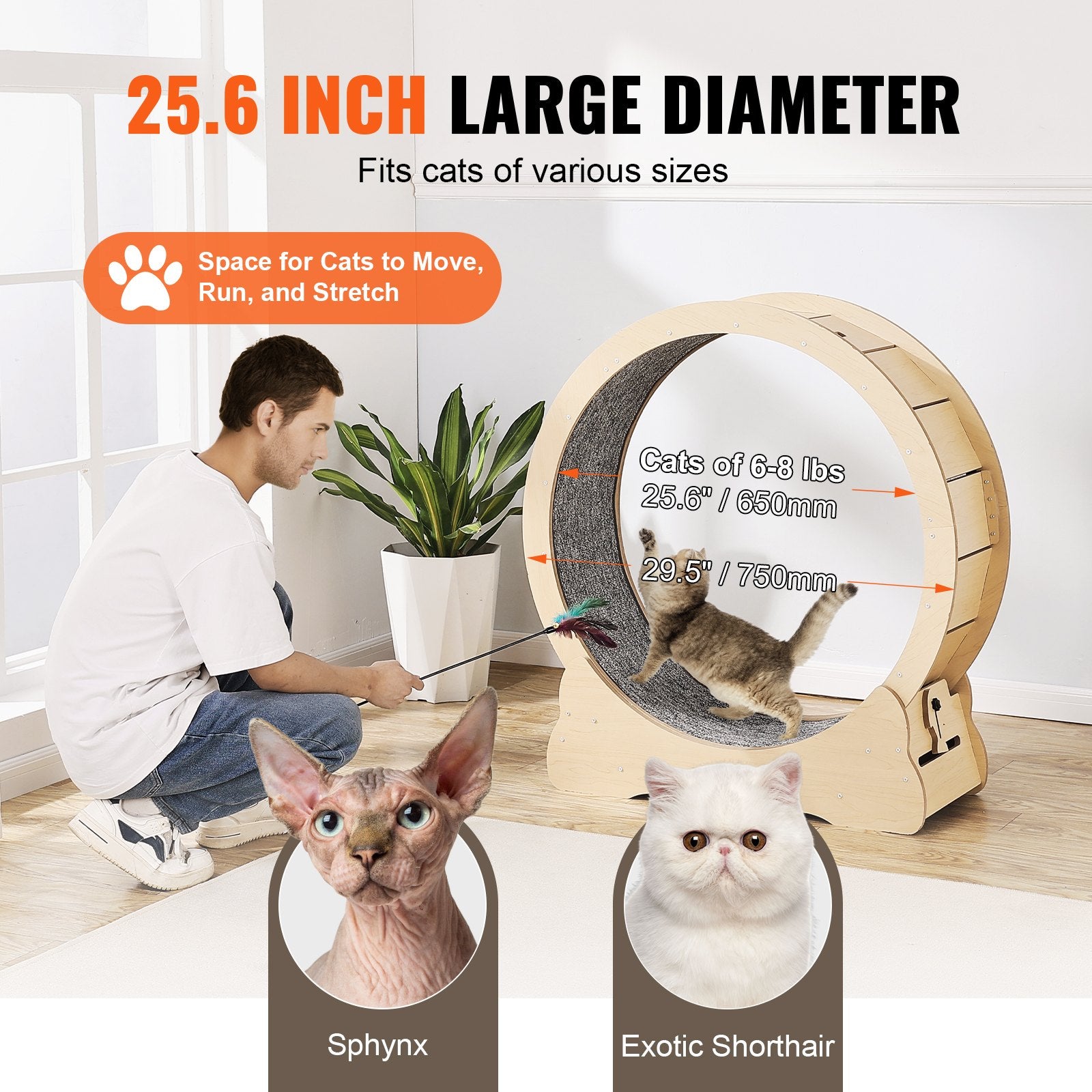 Cat Toys: VEVOR Cat Exercise Wheel Large Cat Treadmill Wheel for Indoor Cats 29.5 inch
