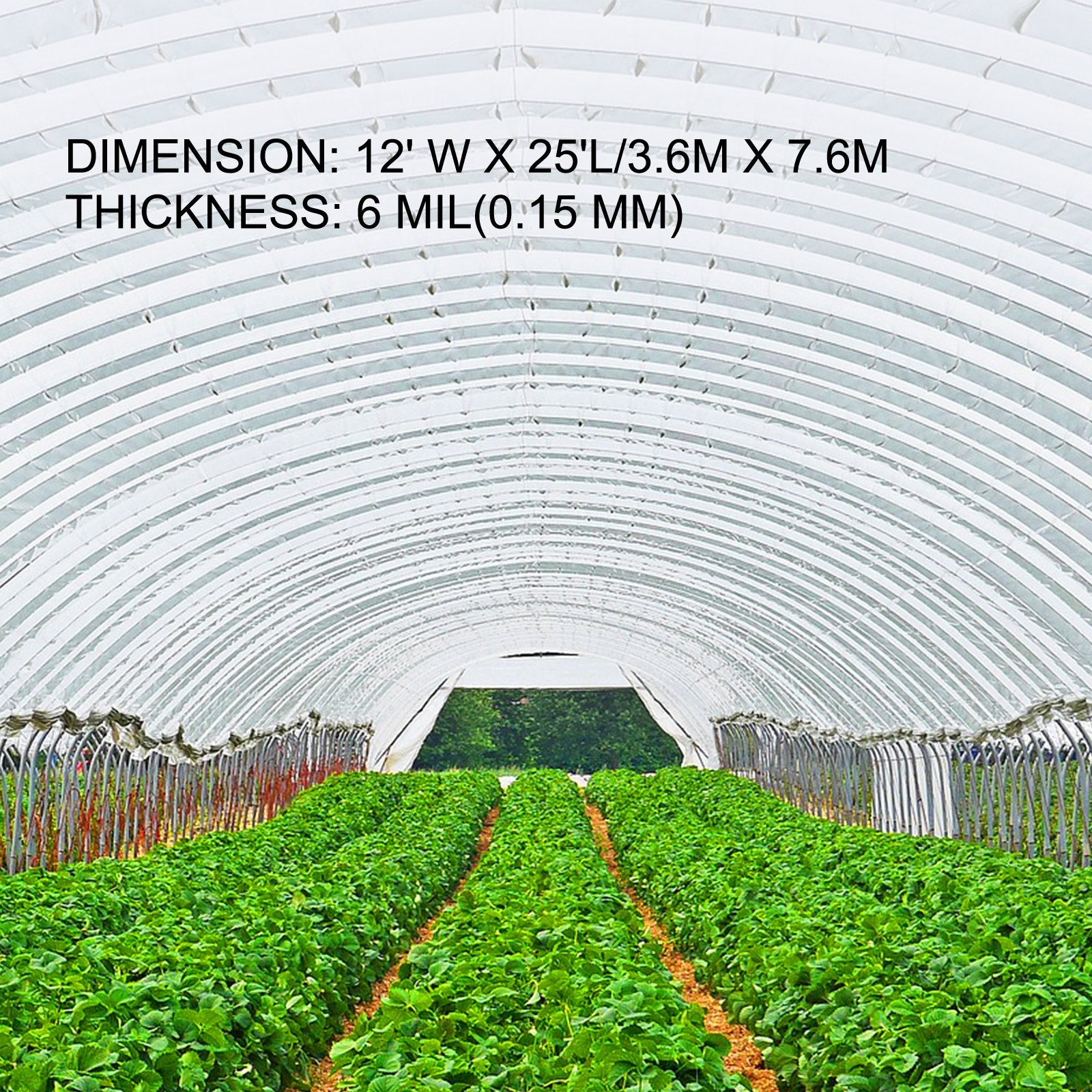 Gardening Tools: VEVOR Greenhouse Film, Greenhouse Polyethylene Film 12x25 ft Greenhouse Plastic
