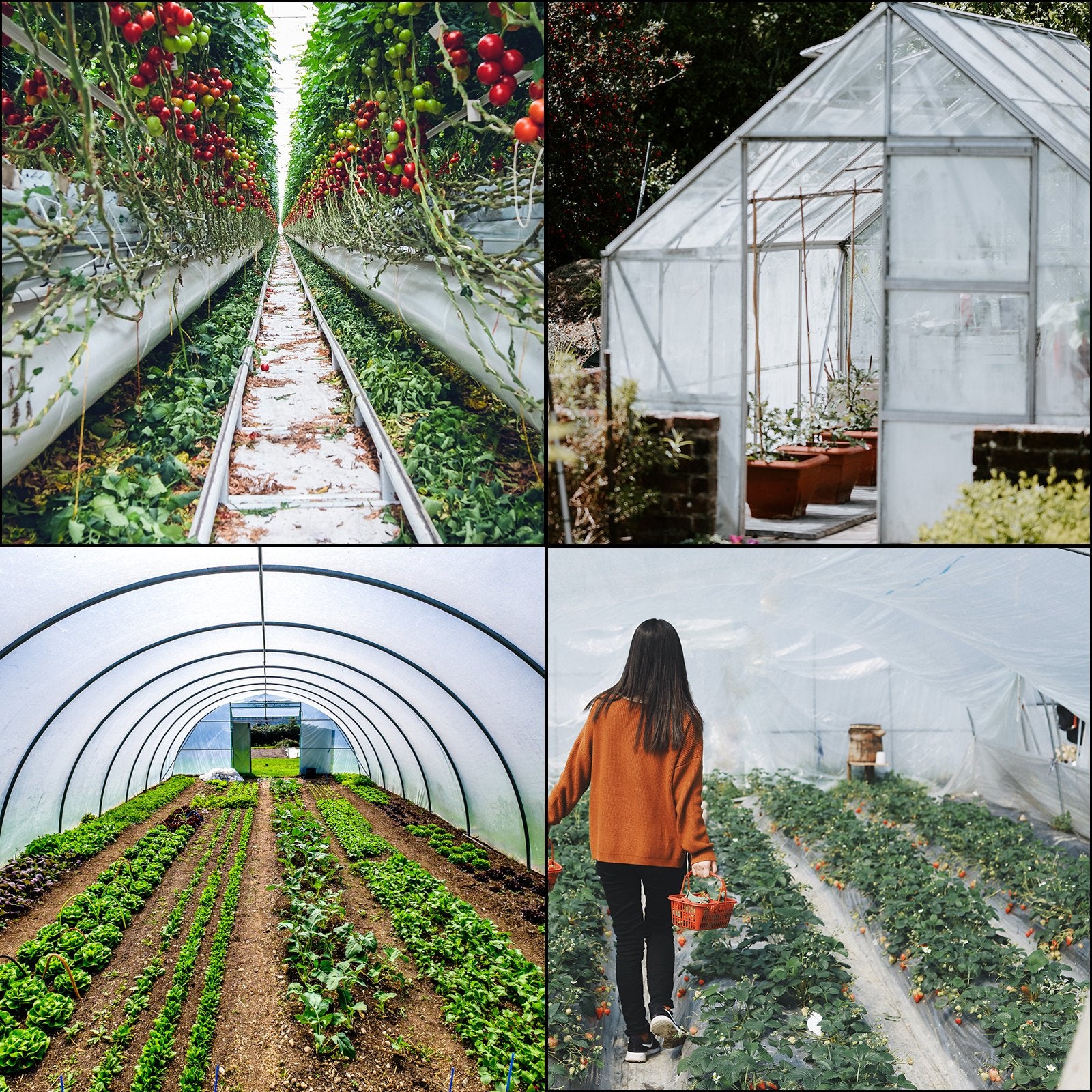 Gardening Tools: VEVOR Greenhouse Film, Greenhouse Polyethylene Film 20x28 ft Greenhouse Plastic