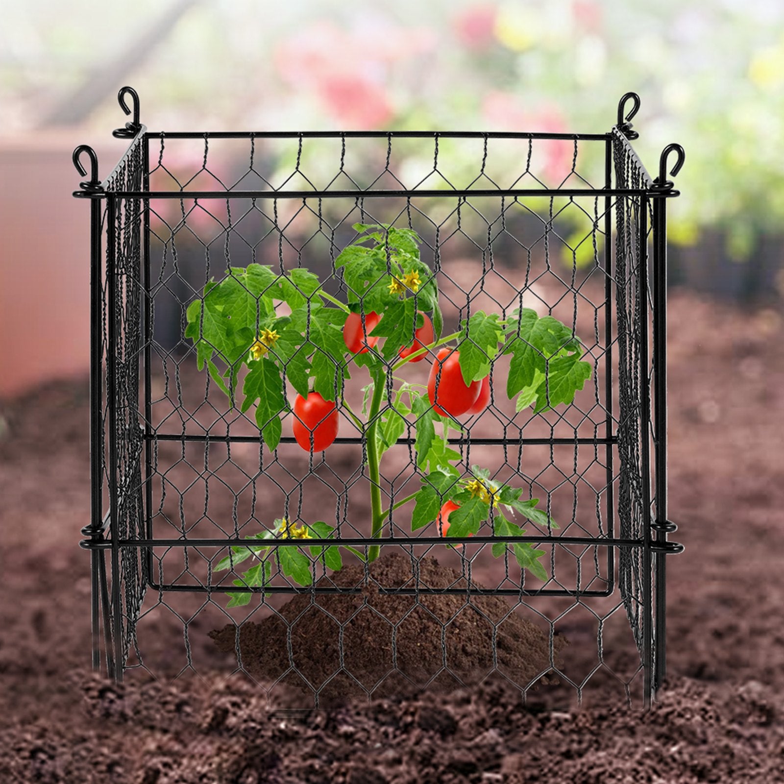 Small Animal Habitats & Cages: VEVOR 4 Pack Plant Protector from Animals, 13.4'' x 13.4'' Chicken Wire Plant Protector, Plant Cages for Outdoor Plants, Flowers & Vegetables, Keeps Bunny Chicken Squirrels Out, 16pcs Metal Mesh