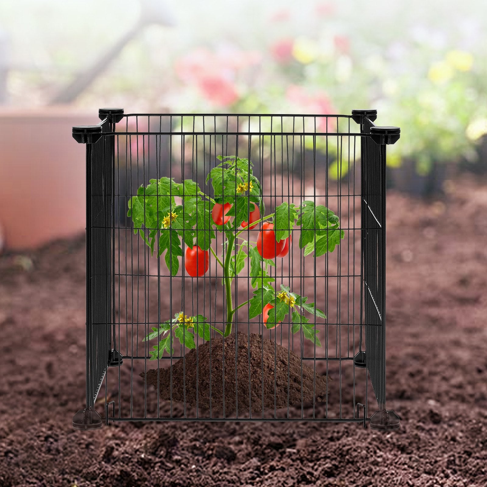 Pots, Planters & Accessories: VEVOR 5 Pack Plant Protector from Animals, 390 mm x 390 mm Chicken Wire Plant Protector, Plant Cages for Outdoor Plants, Flowers & Vegetables, Keeps Bunny Chicken Squirrels Out, 20pcs Metal Mesh