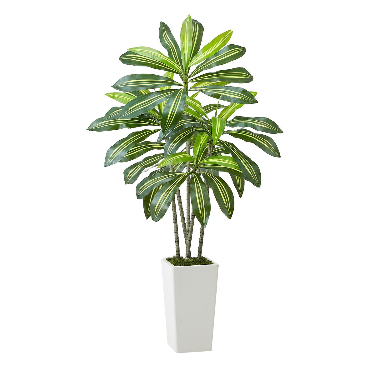 Artificial Dracaena Tree 1524 mm, Fake Palm Tropical Plants with White Tall Planter, Faux Floor Silk Plant in Pot, Large Trees for Home Office Living Room Decor House Warming, Indoor Outdoor