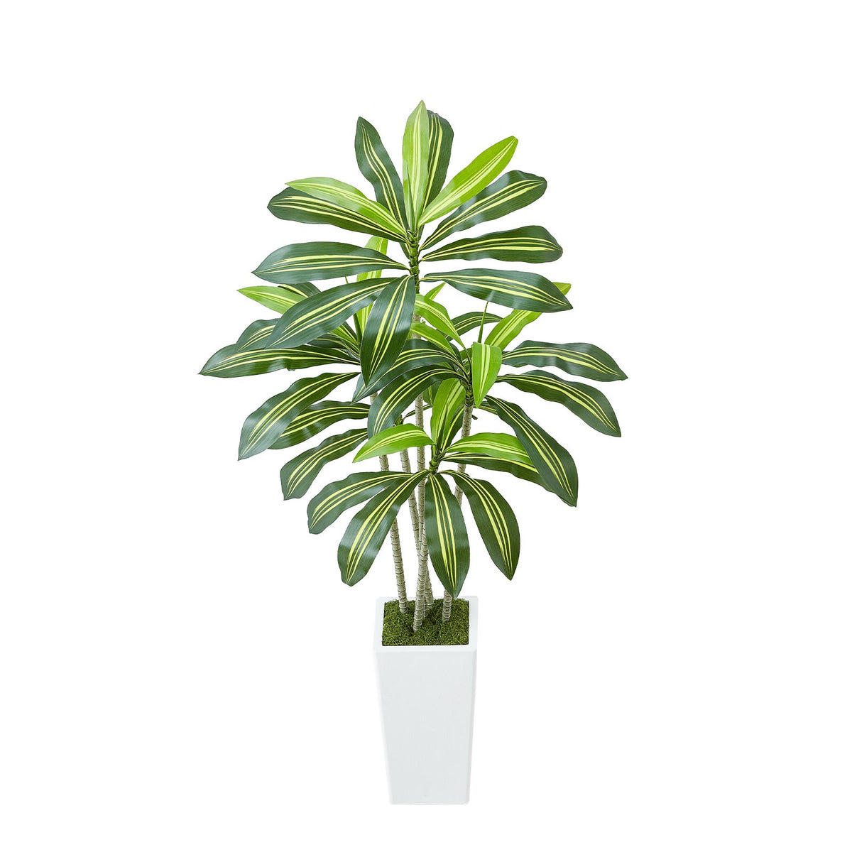 Artificial Dracaena Tree 1524 mm, Fake Palm Tropical Plants with White Tall Planter, Faux Floor Silk Plant in Pot, Large Trees for Home Office Living Room Decor House Warming, Indoor Outdoor