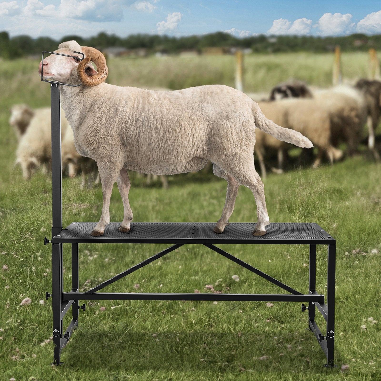Outdoor Play Equipment: VEVOR Goat & Sheep Stand, 51x23 inch Livestock Stand, Metal Livestock Milking and Shearing Stand 21" to 33" Adjustable Height, with Headpiece and Nose Loop, 500lbs Loading Weight, Black