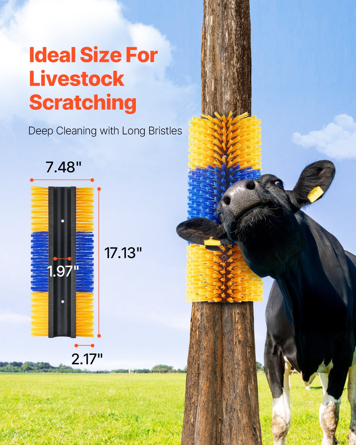Pet Grooming Supplies: VEVOR Livestock Scratching Brush 3Pcs Itch Relief Horse Scratcher Brush 17.1 in