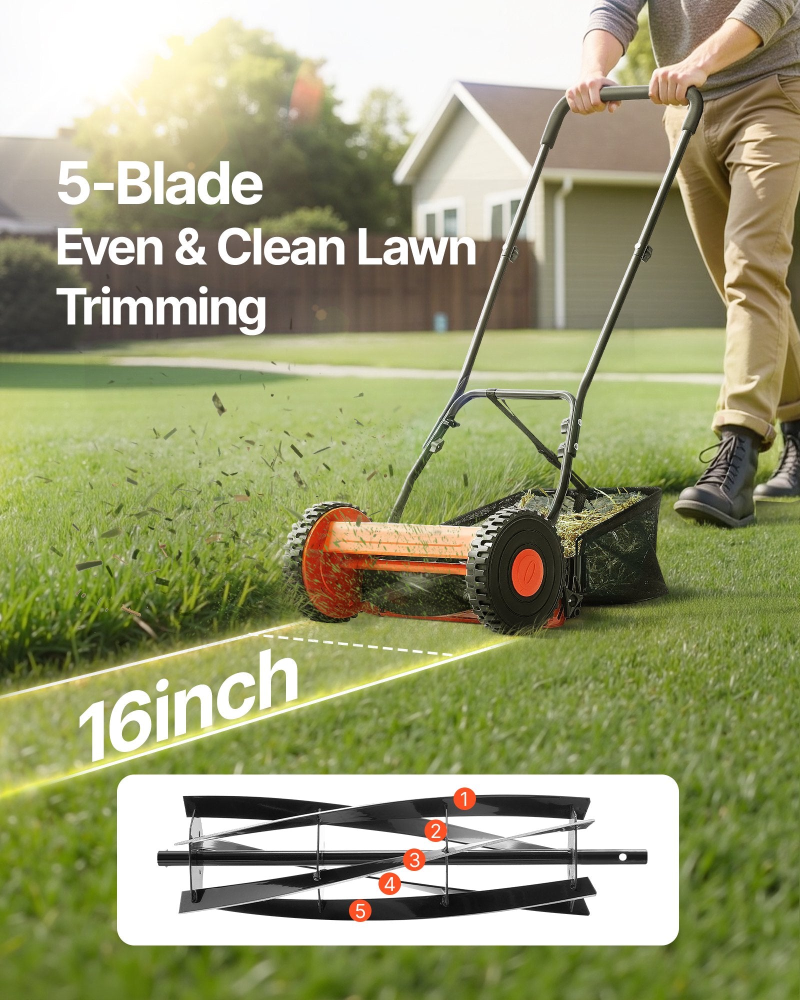 Gardening Tools: VEVOR 40cm Push Reel Lawn Mower 5-Blade Adjustable Height Grass Catcher 2-Wheel