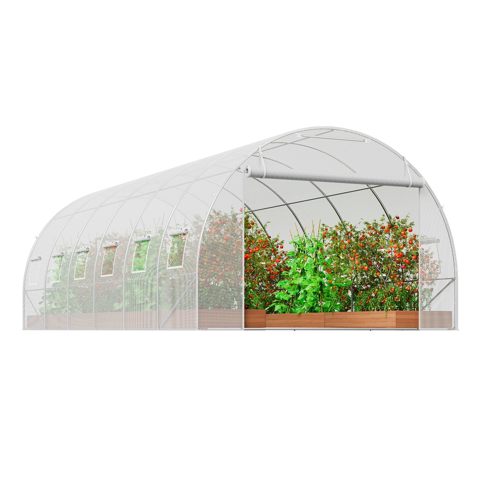 Canopies & Gazebos: VEVOR Walk-in Tunnel Greenhouse, 19.4x9.7x6.5 ft Hoop House Greenhouse Tunnel, Plant Hot House with Galvanized Steel Frame, White PE Cover, Roll-up Zipper Door and 12 Windows for Outdoor