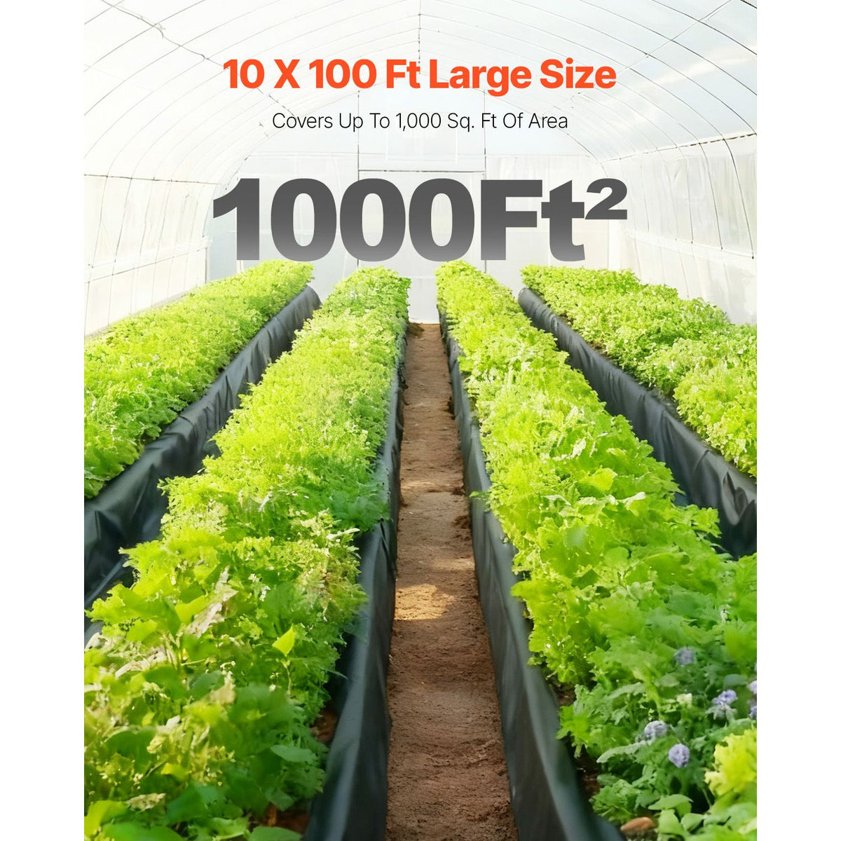Plastic Sheeting Heavy Duty 10' x 100', 6 Mil Thick Plastic Sheeting Roll, Plastic Drop Cloth Painters Tarp, Polyethylene Covering for Crawl Space Vapor Barrier, Multi-Purpose, Black