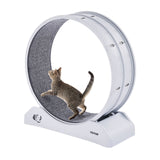 Cat Toys: VEVOR Cat Exercise Wheel, 31.5 in, Large Cat Running Wheel with Secure Brake & Carpeted Runway, Quiet Operation Cat Treadmill, Indoor Cats Exerciser Wheel for Pets Weight Loss & Health White