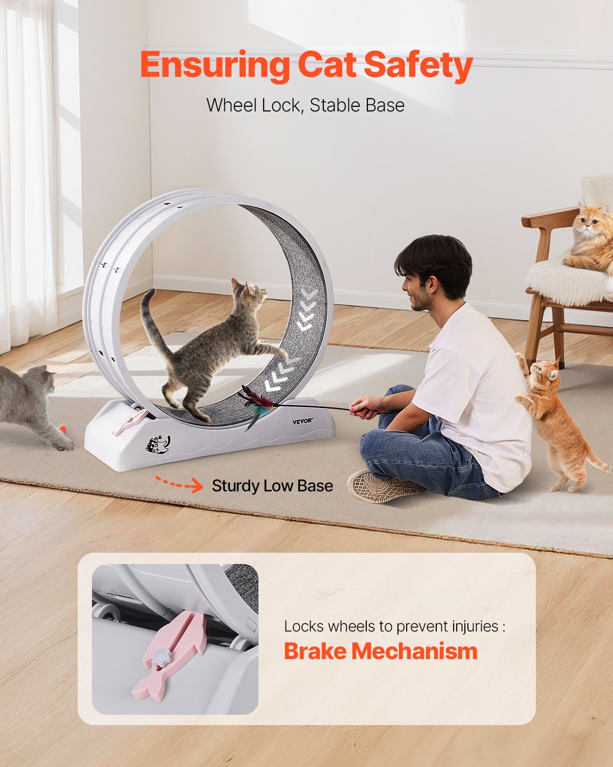 Cat Toys: VEVOR Cat Exercise Wheel, 31.5 in, Large Cat Running Wheel with Secure Brake & Carpeted Runway, Quiet Operation Cat Treadmill, Indoor Cats Exerciser Wheel for Pets Weight Loss & Health White