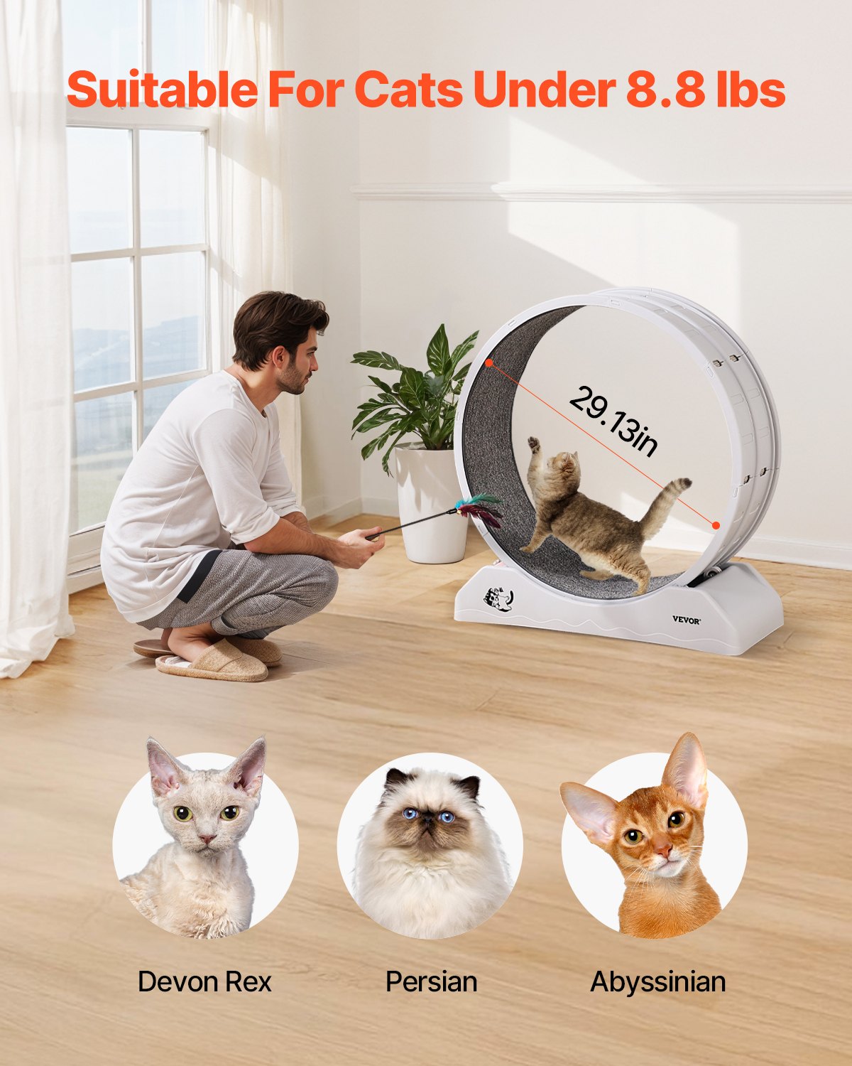 Cat Toys: VEVOR Cat Exercise Wheel, 31.5 in, Large Cat Running Wheel with Secure Brake & Carpeted Runway, Quiet Operation Cat Treadmill, Indoor Cats Exerciser Wheel for Pets Weight Loss & Health White