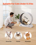 Cat Toys: VEVOR Cat Exercise Wheel, 31.5 in, Large Cat Running Wheel with Secure Brake & Carpeted Runway, Quiet Operation Cat Treadmill, Indoor Cats Exerciser Wheel for Pets Weight Loss & Health White