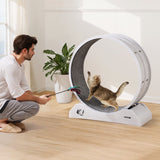 Cat Toys: VEVOR Cat Exercise Wheel, 31.5 in, Large Cat Running Wheel with Secure Brake & Carpeted Runway, Quiet Operation Cat Treadmill, Indoor Cats Exerciser Wheel for Pets Weight Loss & Health White