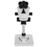 Gardening Tools: Vevor 3.5X-90X Trinocular Stereo Microscope w/Pillar Stand Biological Reliable Lab