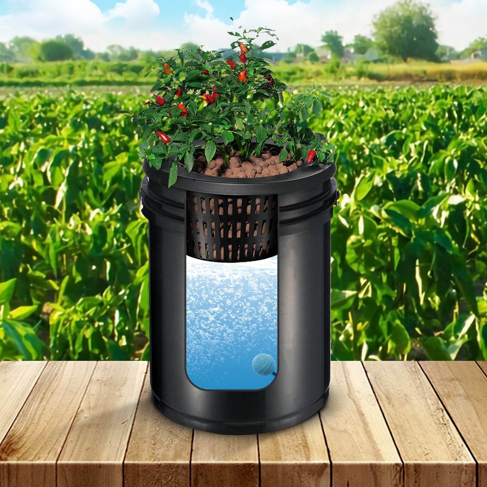 Gardening Tools: VEVOR RDWC Hydroponics Grow System, Hydroponic Growing Kit with Top Drip, Recirculating Deep Water Culture 4 Buckles and 1 Reservoir, with Air Pump and Water Level Device for Leafy Vegetables
