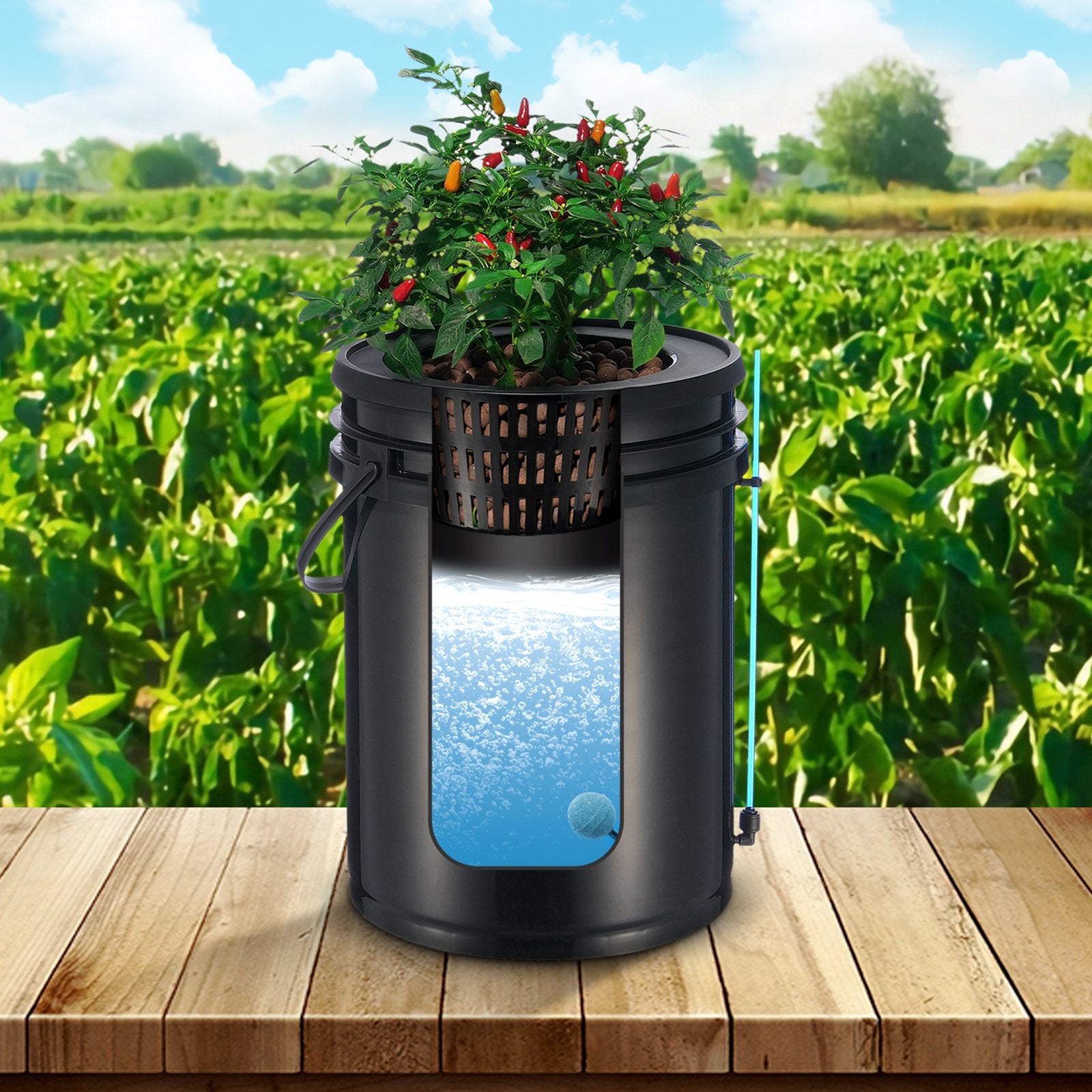 Gardening Tools: VEVOR DWC Hydroponics Grow System Deep Water Culture with Top Drip 4 Buckets