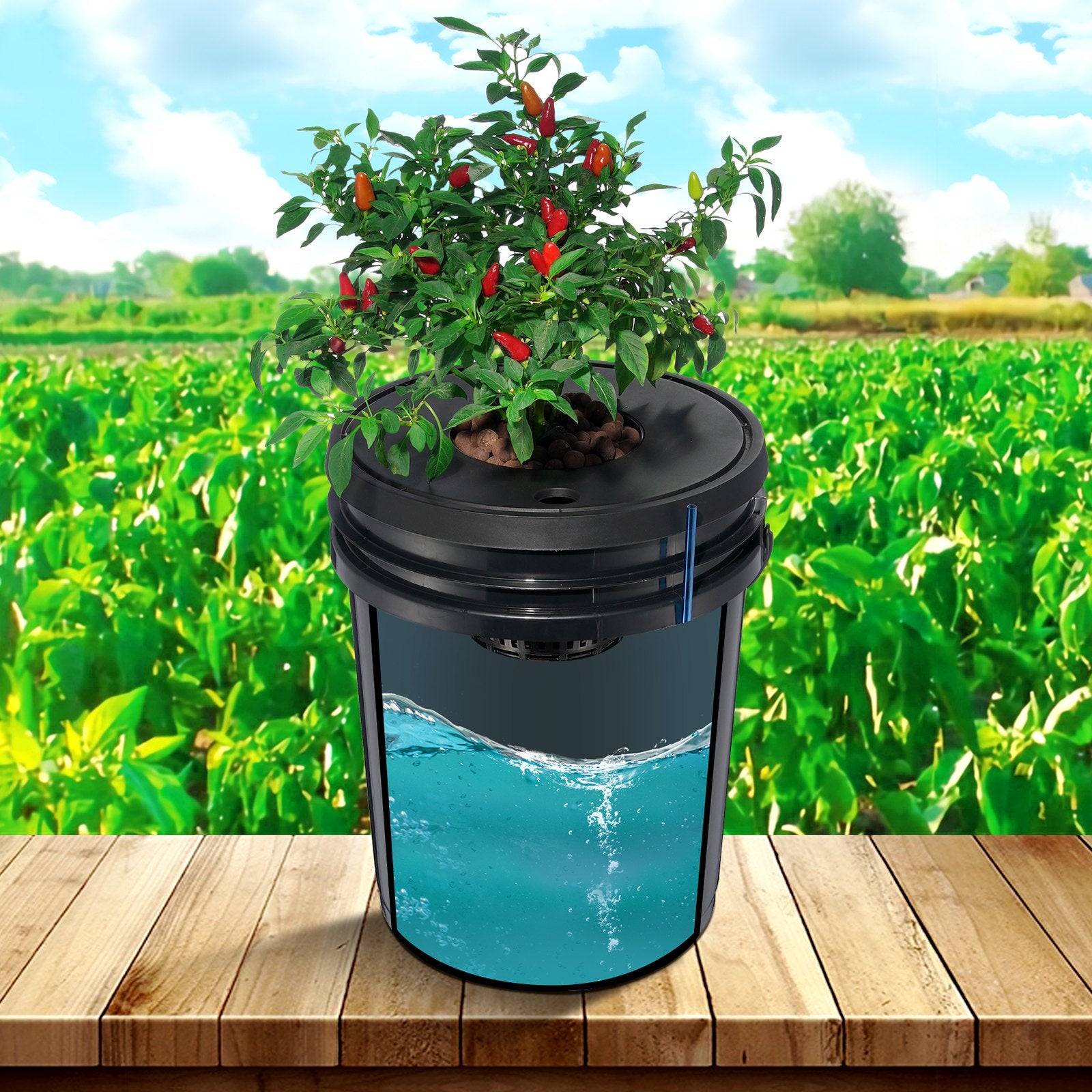 Gardening Tools: VEVOR DWC Hydroponics Grow System Deep Water Culture 8 Buckets with Air Pump