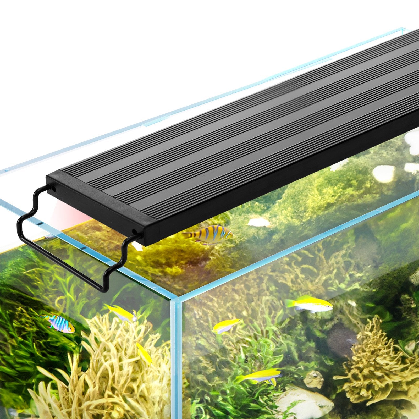 Aquarium Lighting: VEVOR Aquarium Light 26W Full Spectrum Aquarium LED Lights for 36"-42" Fish Tank