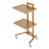 Kitchen & Dining Trolleys: VEVOR 2 Tiers Stainless Steel Lab Carts with 2 Trays & 4 Silent Wheels Golden