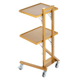 Kitchen & Dining Trolleys: VEVOR 2 Tiers Stainless Steel Lab Carts with 2 Trays & 4 Silent Wheels Golden
