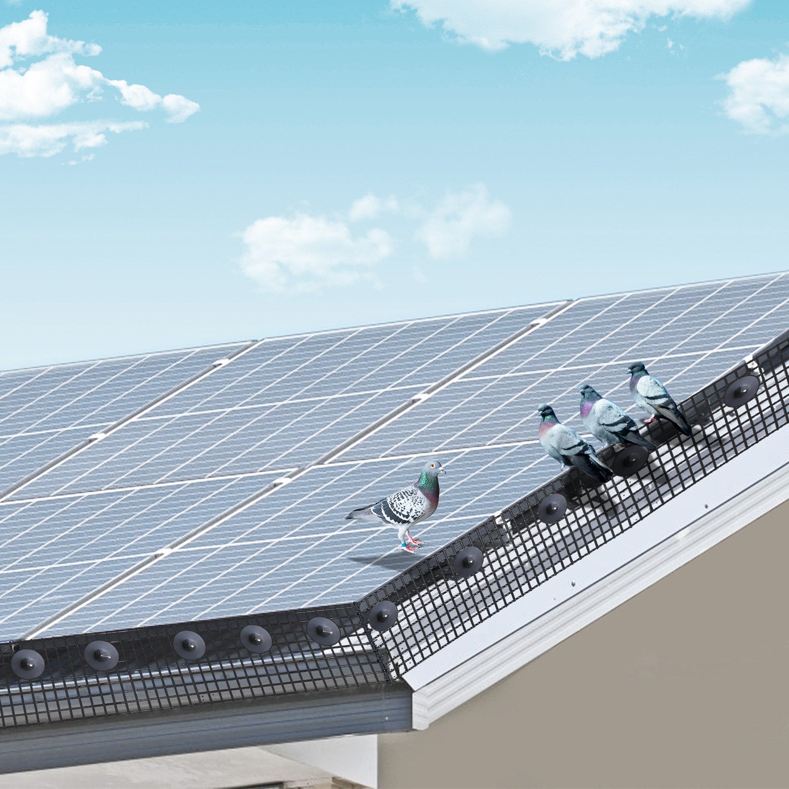 Gardening Tools: VEVOR 6 in x 100ft Solar Panel Bird Guard Critter Guard Roll Kit 60pcs Fasteners