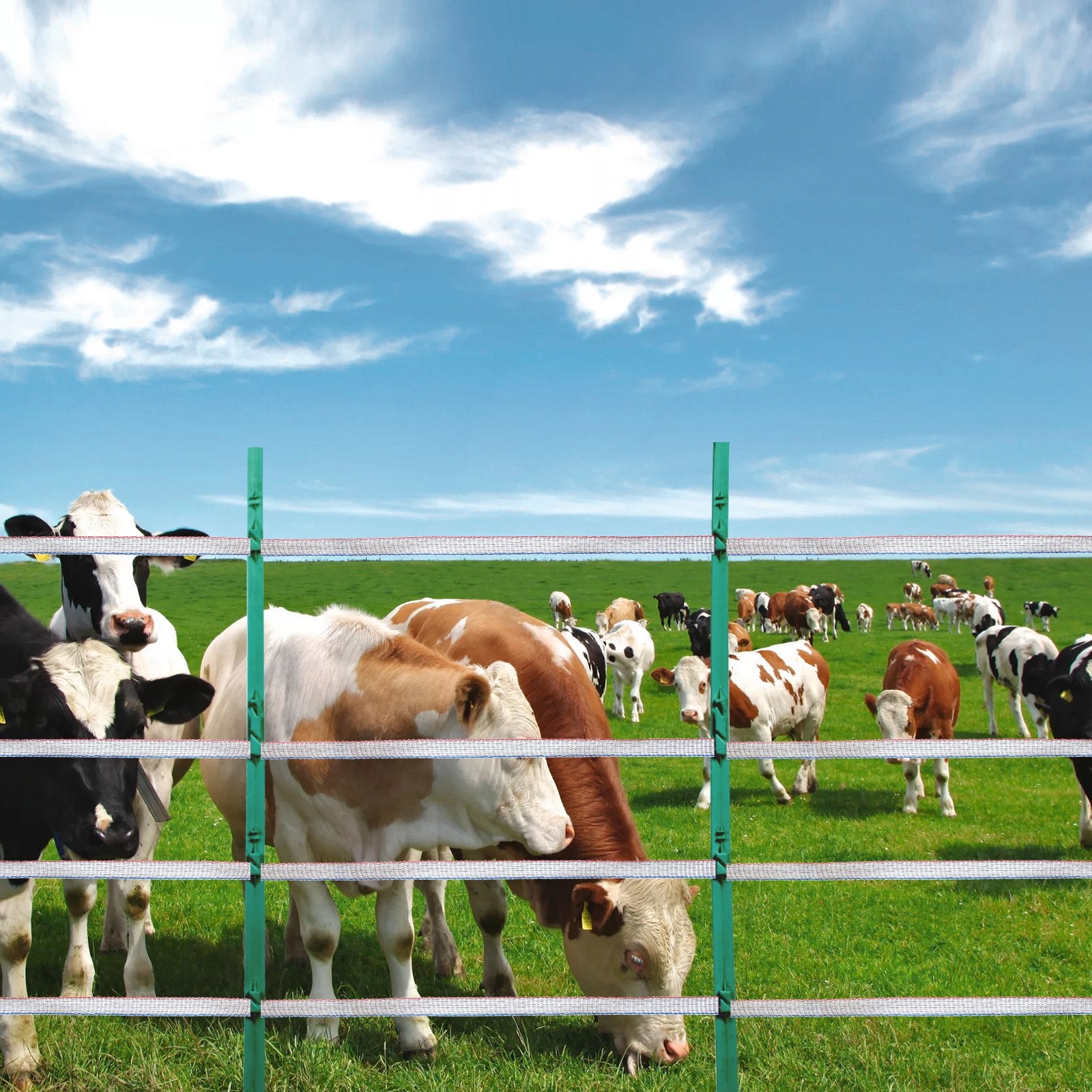 Electric Fence Tape, 1640Ft 500M Polytape Fencing Hot Wire, 3/4" Width 6 Stainless Steel Strands for Reliable Conductivity, UV & Rust Resistance, Portable Polywire for Horse Cattle Livestock